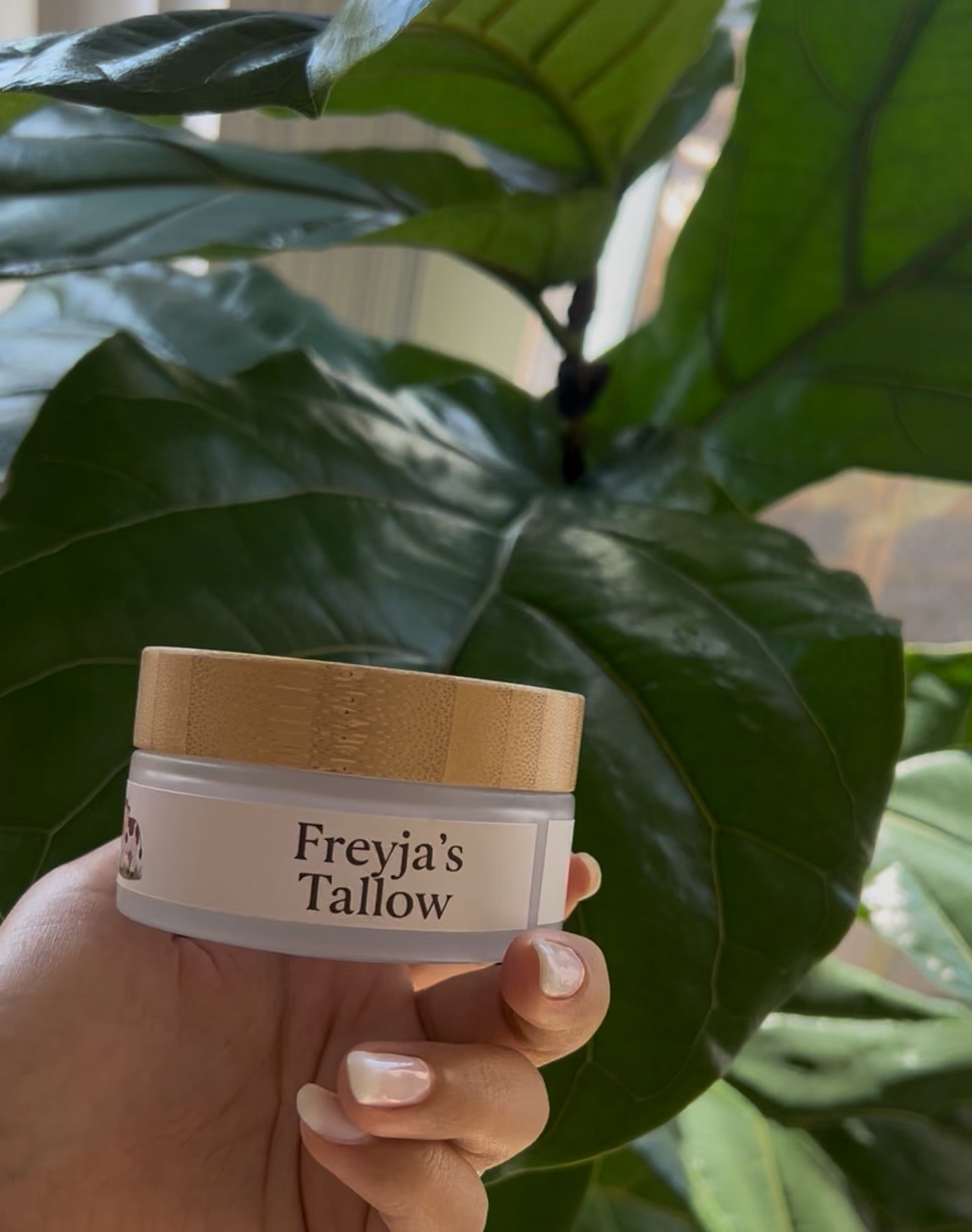 Tallow Moisturizer